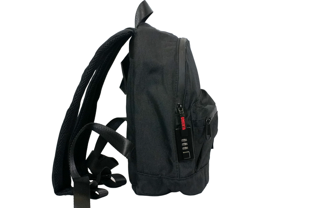 
                  
                    Load image into Gallery viewer, Stash Bag Mini Molly with Lock
                  
                