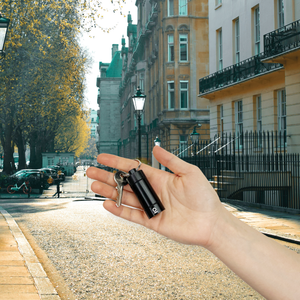 
                  
                    Load image into Gallery viewer, Ongrok Small Storage Keychain
                  
                