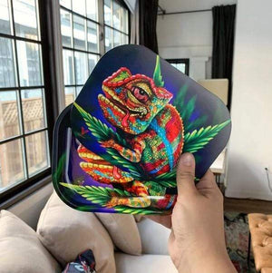 
                  
                    Load image into Gallery viewer, Cloud 9 Chameleon 3D Roll N Go Bundle
                  
                