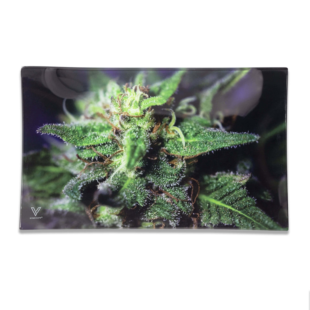 
                  
                    Load image into Gallery viewer, Blue Dream Glass Rollin&amp;#39; Tray
                  
                