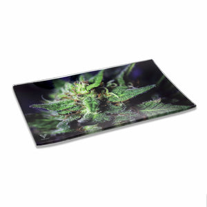 
                  
                    Load image into Gallery viewer, Blue Dream Glass Rollin&amp;#39; Tray
                  
                