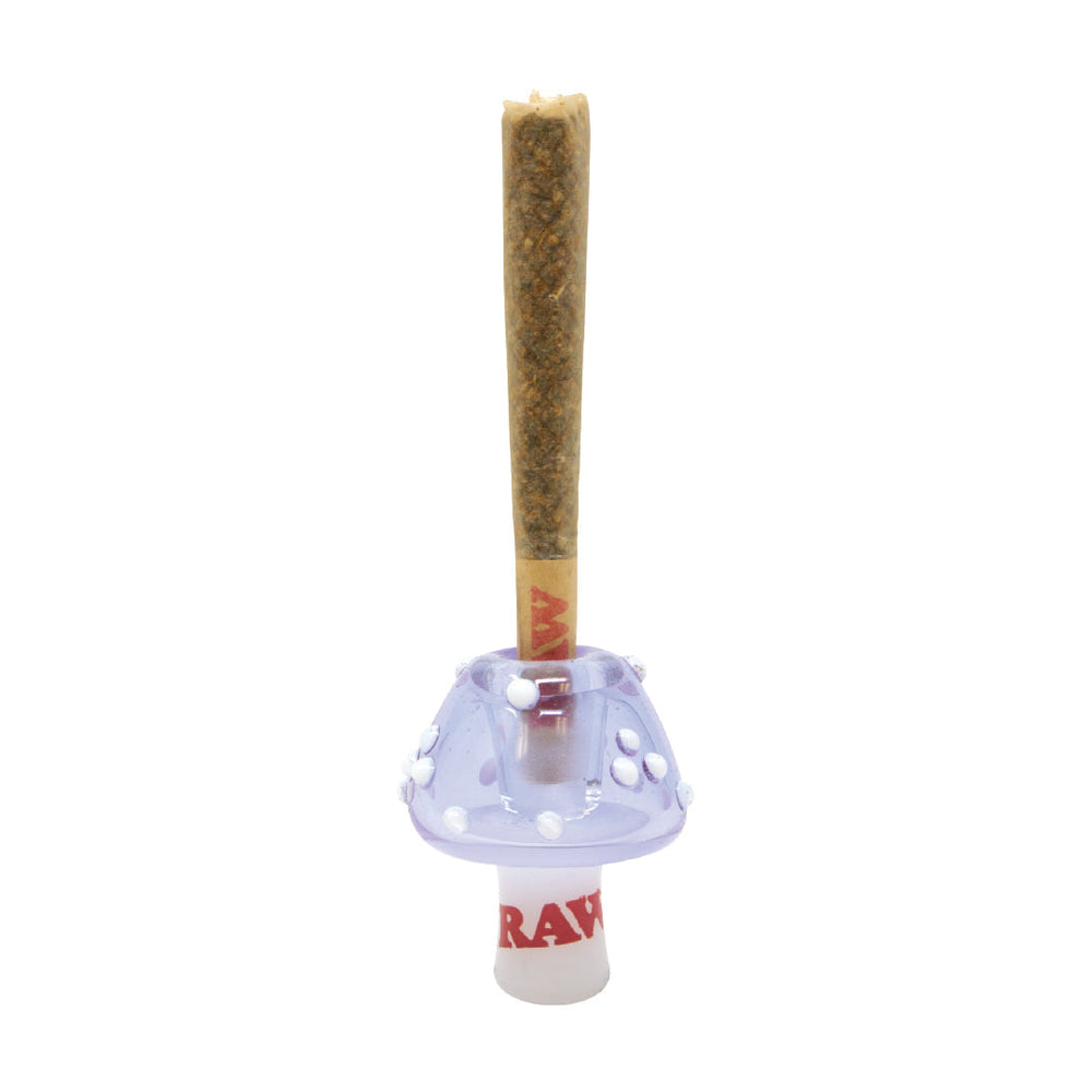 
                  
                    Load image into Gallery viewer, RAW Glass Cone Holders
                  
                