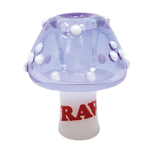 
                  
                    Load image into Gallery viewer, RAW Glass Cone Holders
                  
                